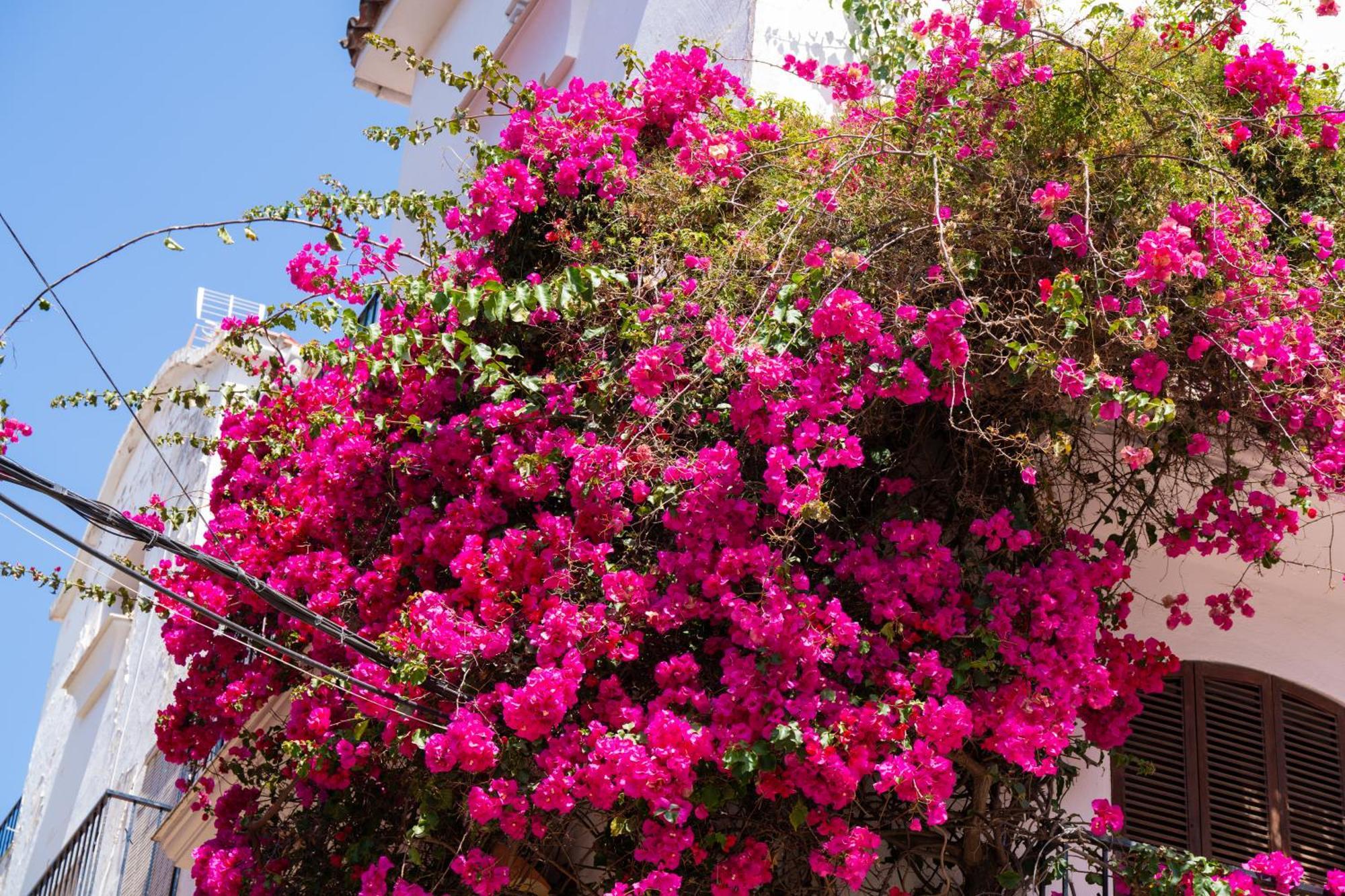 Marbella Luxury Duplex 106 Close To The Beach Esterno foto